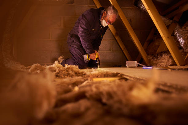 Best Insulation Replacement Services  in Ballville, OH